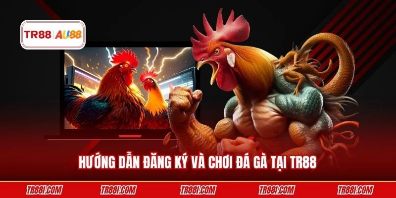 Hướng dẫn đăng ký và chơi đá gà tại TR88
